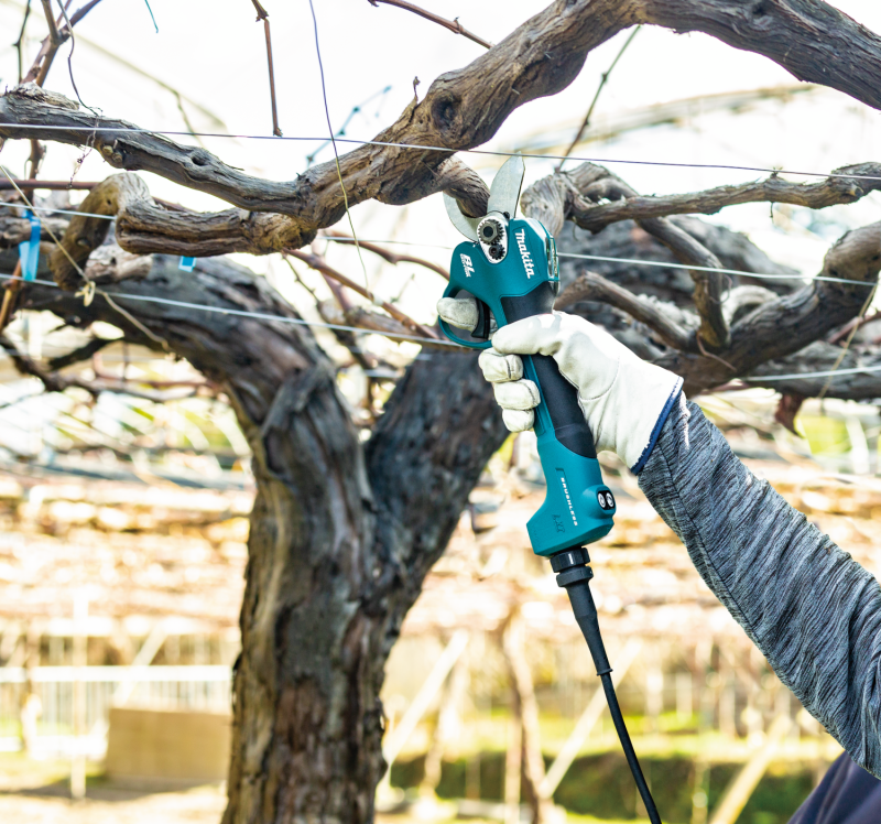 Makita DUP180T001 Akülü Bağ Budama Makası