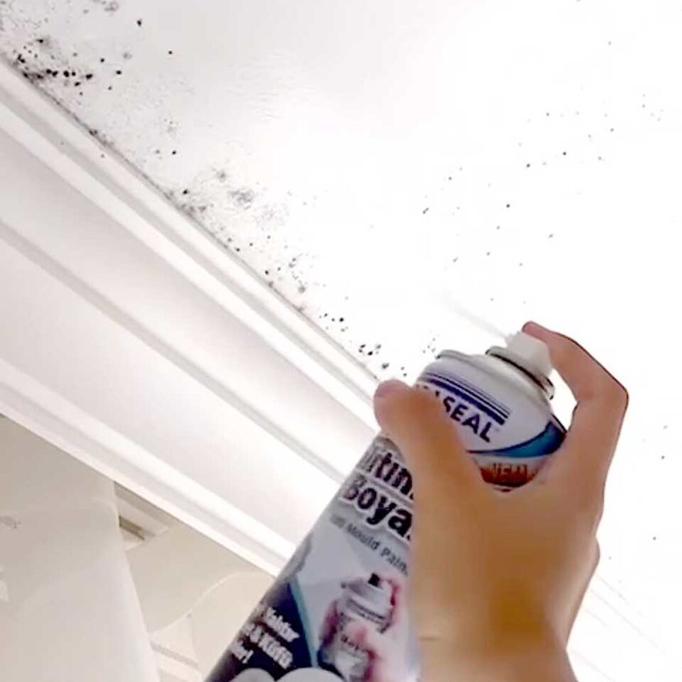 Vodaseal Anti-Küf Yalıtım Sprey Boya Beyaz 500ML