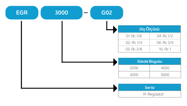 Goldstone EGR Regülatör
