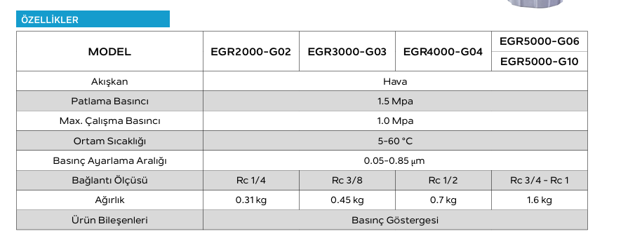 Goldstone EGR Regülatör