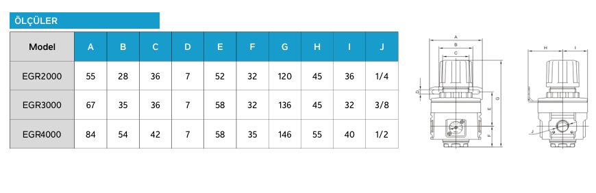 Goldstone EGR Regülatör